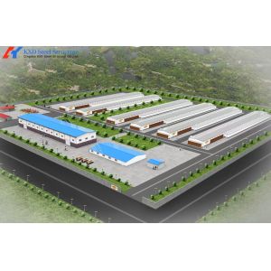 Commercial Steel Structure Poultry House with Feeding & Drinking Systems