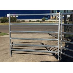 6 Rails 3m Tall Heavy Duty Cattle Panel Free Standing