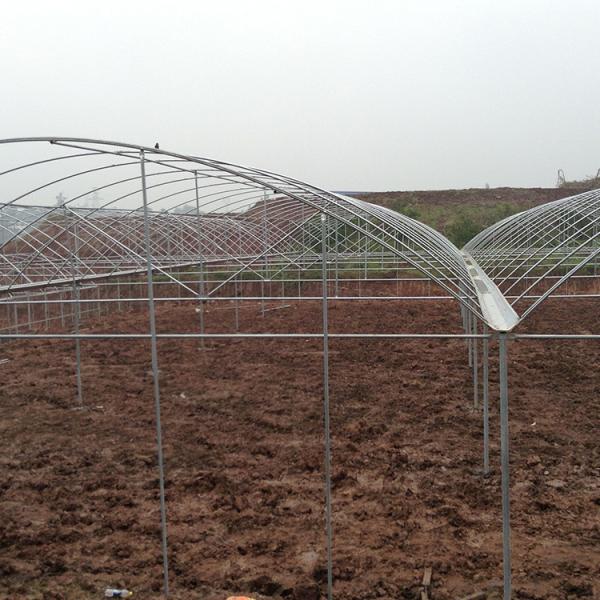 Buy Multi Arch Plastic Film Rainout Shelter Greenhouse For Strawberry at wholesale prices