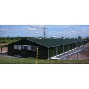 Prefabricated Steel Structure Poultry House Q235B Q355B Steel Frame Chicken