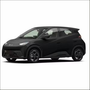 2024 BYD Electric Car Seagull Flying Fast Charger Mini 4 Seats Latest Energy