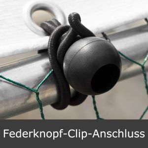 Lockable Latch Steel Walk In 20x13ft Chicken Run Kennel