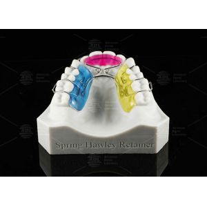 Customizable Spring Hawley Retainer Removable Teeth Position Retention