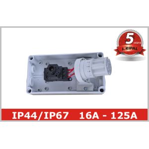 Mechanical Interlock Industrial Power Switched Sockets , Single / Three Phase