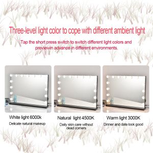 Find Your Perfect Hollywood Mirror Customizable Options Available