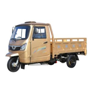 Semi Closed Carry 250cc Cargo Motor Tricycle With Cabin