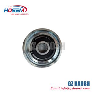 Auto Steering System Belt Tensioner Pulley 1308012TAB1 JMC Wholesal