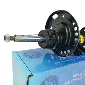 2463232900 2463233000 Vehicle Coil Spring Shock Vehicle Part Front For Mercedes