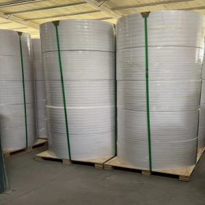 Computer Printing Colorful Non Carbon Copy Paper Jumbo Rolls