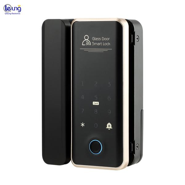 Villa Face Id Smart Lock ROHS Automatic Door Lock For Apartment