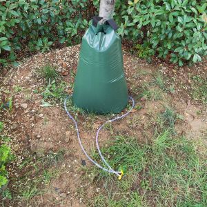 650gsm Tree Watering Bag for Slow Release Watering and Deep Drip Irrigation of