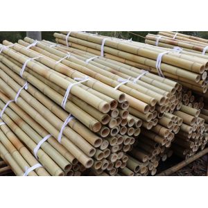 Garden Furniture Natural Bamboo Poles Stakes Straight For Garden Plant Length