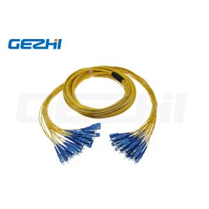 12 core Singlemode Indoor Fiber Optic Patch Cord with SC connector