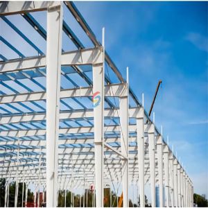Customized Crane Steel Structure Warehouse With Hot Rolled/Welded H Section