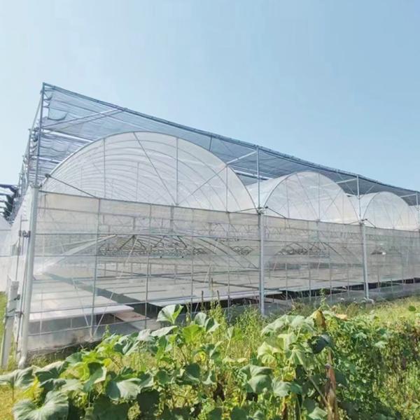 Buy Customized Agricultural Plastic Film Multi-span Polyhouse Greenhouse at wholesale prices