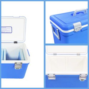 Buckle Lock Vaccine Box Cooler 35L Cooler Box With Ice Packs