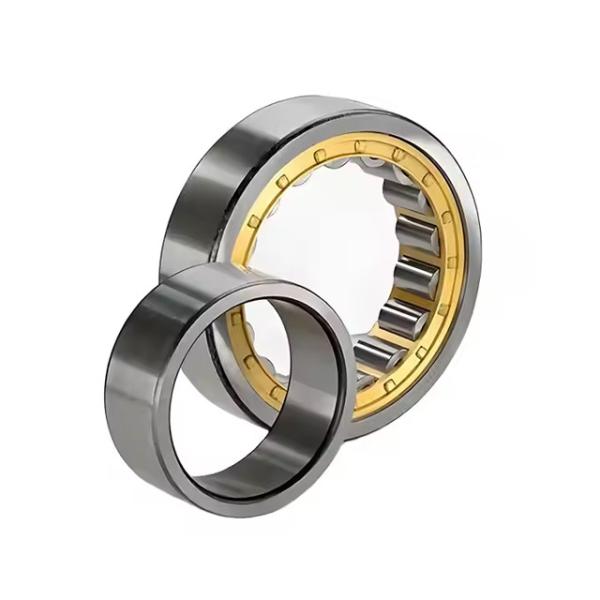 Buy NJ311ECM Cylindrical Roller Bearings (NJ311E.M1 NJ311EM NJ311M Available) at wholesale prices