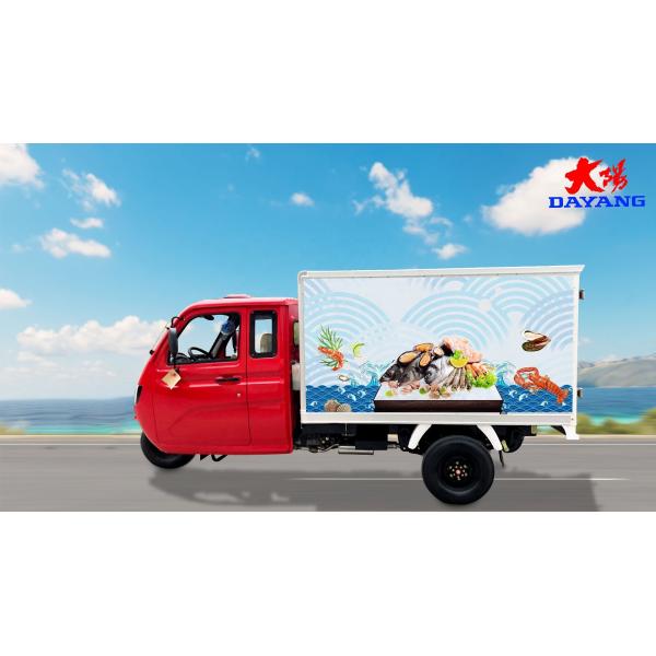3 Wheels Motorized Tricycle 1000W 12V 120Ah Saint Cargo Tricycle for Other Tricycles