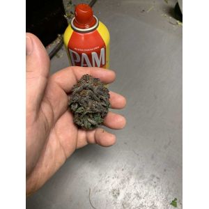 4000k Gavita Pro 1700e High PPFD Grow Light