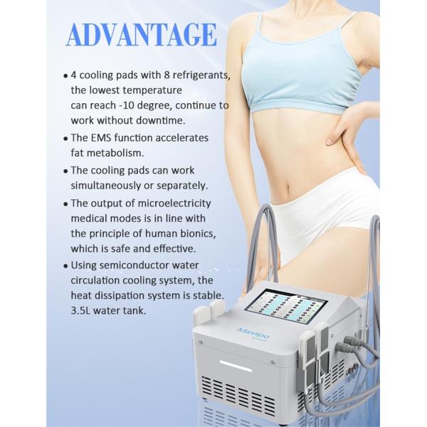 Ems Fat Reduce Cryo Plate Machine With 4 Cooling Pads