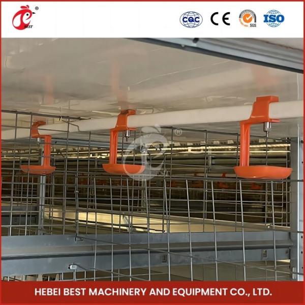 High Precision Automatic Broiler Chicken Cage H Type Poultry Broiler Cage Rose