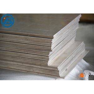AZ80 AZ91 Light Weight Magnesium Alloy Plate
