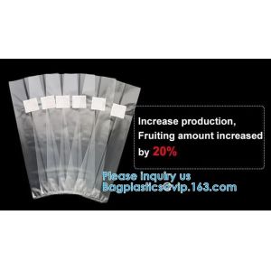 Norbane Bag 20 Counts Mushroom Substrate Bag, Mushroom Grow Bag, Mushroom Myco