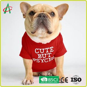 SNAS Breathable Lightweight Winter Pet Clothes