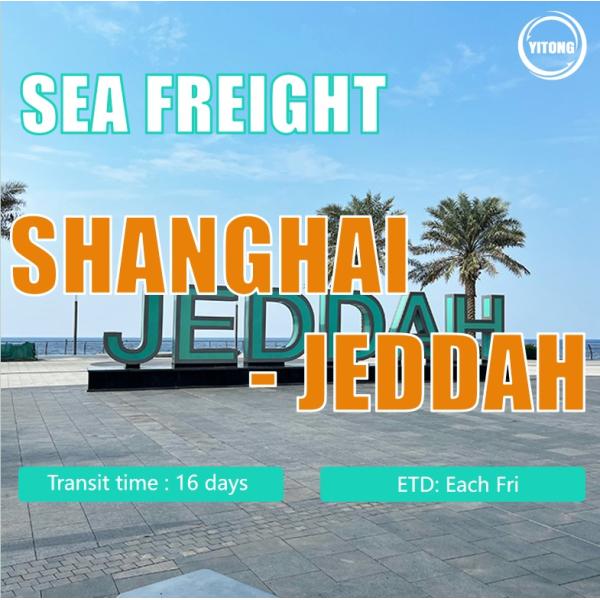 Buy ocean Freight From Shanghai To Jeddah Saudi Arabia at wholesale prices