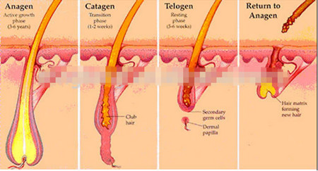 E - light IPL RF Permanent Elight IPL RF Skin Rejuvenation Hair Removal White Gray Machine with 250W