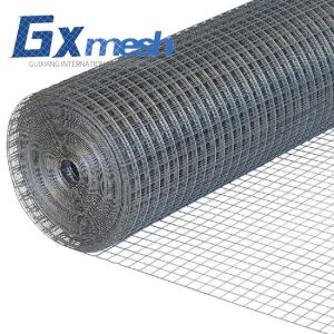 Quality Factory good price 1/2&quot; welded wire mesh roll for sale