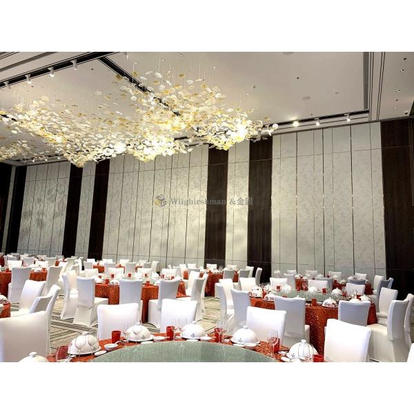 Buy Door Within Door Acoustic Moveable Wall Partition For Easy Customization And Soundproofing at wholesale prices