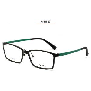 Flexible Light Plastic Eyeglass Frames , Luxury Lightest Spectacle Frames