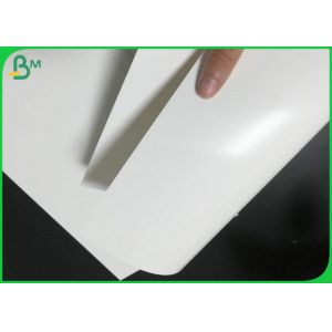 Single Side Coated White Board Food Grade 300gr & 15gr PE Making To - Go Box
