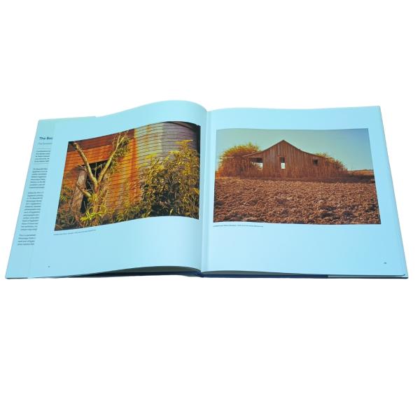 Buy The Beautiful Mysterious | Photo Printing Services Coffee Table Book Printing With Jacket And Spot UV at wholesale prices