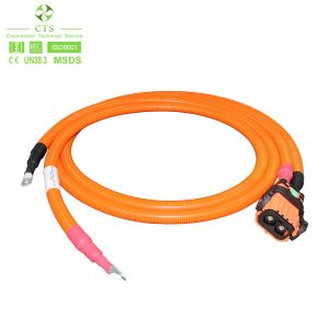 CTS Industrial Wiring Harness for Motorcycle Auto Electric Vehicle High Voltage