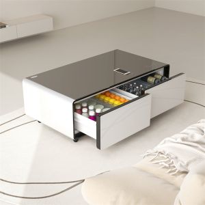 Private Mold Modern Coffee Table Fridge with Wireless USB Charger and Built-in