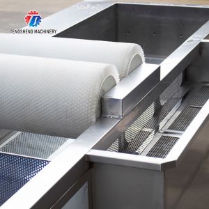 250KG Fruit and vegetable automatic roller washing machine Multi-functional
