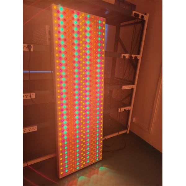 6000W ODM OEM Red Light Therapy Light 535 590 610 630 660 810 830 850 1060Nm 9 Wavelength for Acne Treatment and Anti-Aging