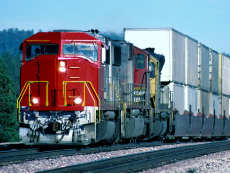 Amino Acid Peptides Calcium Magnesium Liquid Foliar Bio Fertilizer For All Crops