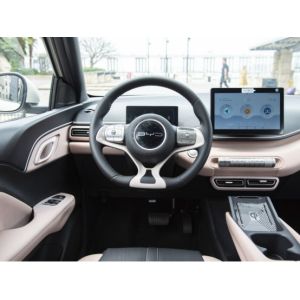 Yellow Byd Seagull Hatchback Vehicle Automobile Pure Electric 5 Seat