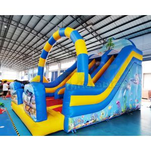 ROHS Commercial Inflatable Slide Children Bounce House In Backyard