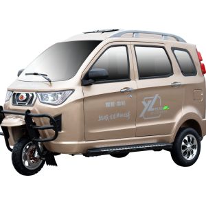 Quality 3c High Speed Body Closed Gasoline Electric Tricycle for sale