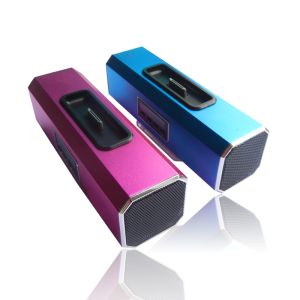 Powerful portable FM mini Support Micro SD card/USB flash drive speakers BT