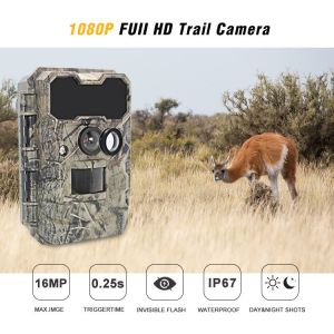 Animal Observation Deer Hunting Video Cameras 1920x1080P