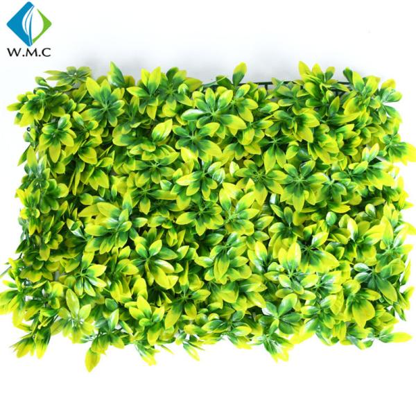 Outdoor Decoration Artificial Boxwood Grass , Topiary Artificial Moss Wall