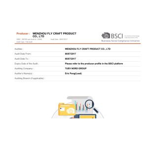Wenzhou fly craft product Co., Ltd. Certifications