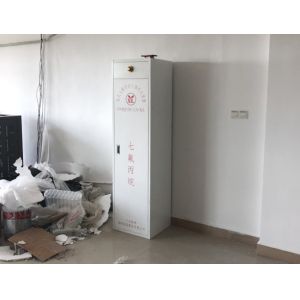 FM200 Gas Suppression System Fire Rated Extinguisher Cabinets ISO9001