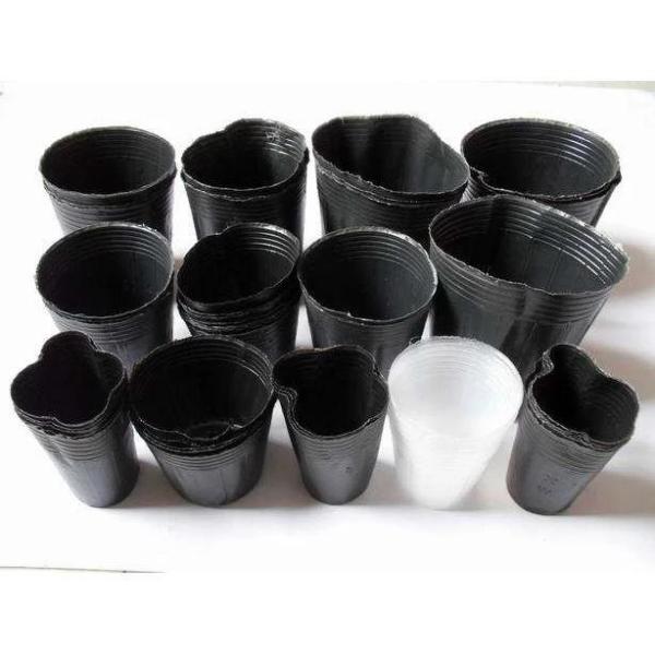 Durable whole sales black plastic seedling pot small square shape nursery pot