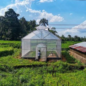 Hot Galvanized Pipe Frame Plastic Grow Tunnel